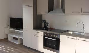 戈雷尼斯卡地区采尔克列Apartmaji Pika的厨房配有白色橱柜和黑烤箱。