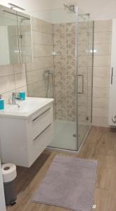 戈雷尼斯卡地区采尔克列Apartmaji Pika的带淋浴、盥洗盆和镜子的浴室