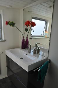 阿姆斯特丹Private Lodge on Houseboat Amsterdam的浴室设有镜子内的红色花卉水槽