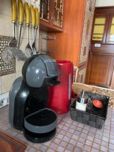 斯韦蒂·斯特凡Villa Edelweiss的咖啡壶,位于带餐具的厨房台上