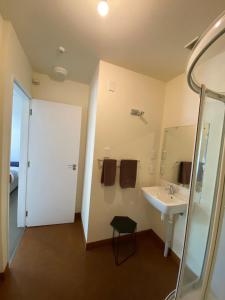 但尼丁安托背包客旅馆的一间带水槽和镜子的浴室