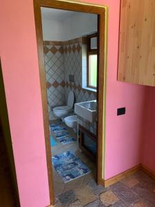 莱什Hani i Leks Agroturizem的浴室设有2个卫生间、水槽和镜子
