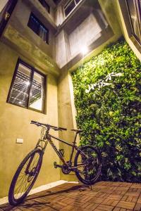 宜兰市山啄木青年旅馆的一辆自行车停在大楼旁边