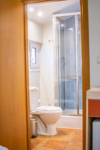 帕拉塔蒙帕拉塔蒙中央酒店的一间带卫生间和玻璃淋浴间的浴室