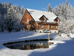 NötschChalet le Dorf的雪地里的小木屋,带池塘