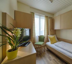 因特拉肯Hotel Blume Interlaken的小房间,有床和盆栽