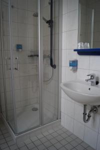 BehringenSchlosshotel am Hainich的带淋浴和盥洗盆的浴室