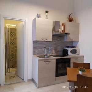 巴里Puglia Vacation Homes PISANI 39的厨房配有水槽和微波炉