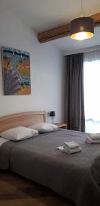 梅斯蒂亚巴普沙宾馆的一间卧室设有一张大床和大窗户