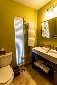 奥兰多阿诺德帕尔默贝希尔俱乐部&小屋酒店的一间带卫生间、水槽和镜子的浴室