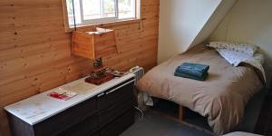 耶洛奈夫黄狗旅馆的一间卧室配有一张带书桌的床和窗户。