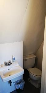 耶洛奈夫黄狗旅馆的一间带水槽和卫生间的浴室