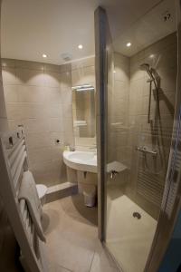 圣阿弗里克Hotel Le Pont Neuf的带淋浴、盥洗盆和卫生间的浴室