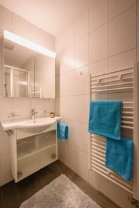 Apartment Breithorn - Charming home - free parking & Wifi的一间浴室