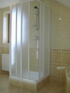 捷克布杰约维采麦诺尔膳食宾馆的浴室里设有玻璃门淋浴