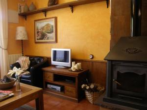 奥耶多埃尔恩坎托乡村小木屋公寓的一间带电视和壁炉的客厅