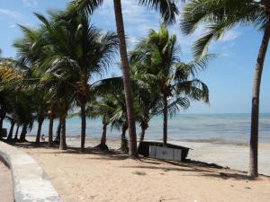 马塞约R1快捷酒店的海滩上一排棕榈树与大海