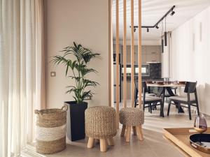 蒂锡利维Aguacate Ioni的客厅配有盆栽和椅子