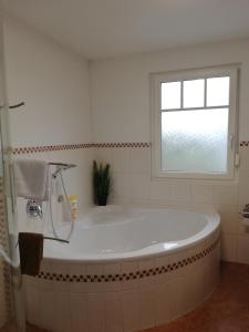 莱什哈特安德尔度假酒店的带窗户的浴室内的白色浴缸
