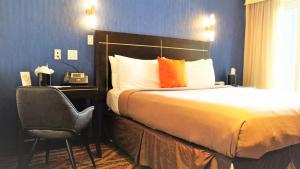 皇后区纽约维斯塔 - 耐斯塔酒店的配有一张床和一把椅子的酒店客房