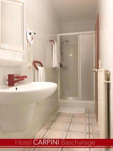 巴斯克卡拉奇卡皮尼酒店的浴室配有白色水槽和淋浴。