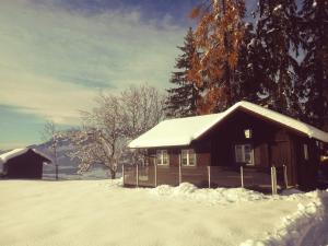 艾奇Berghütte Franz'l的院子内屋顶上积雪的小屋