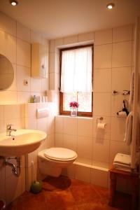 苏尔Lauterer Wirtshaus的一间带卫生间和水槽的浴室