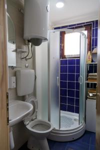 帕莱Apartman's Ana Pale-OC Jahorina的一间带卫生间和淋浴的小浴室