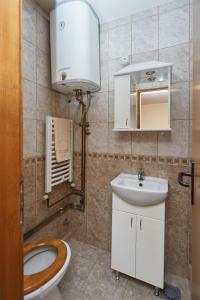 索科矿泉村Apartmani Stojadinović的一间带卫生间和水槽的浴室
