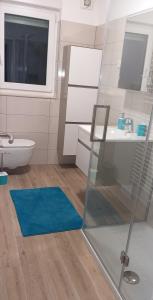 戈雷尼斯卡地区采尔克列Apatmaji Pika 2的浴室设有卫生间水槽和蓝色地毯。