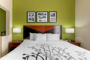 蒙哥马利Sleep Inn & Suites Montgomery East I-85的一张位于带两盏灯和一堵绿色墙壁的房间的床铺