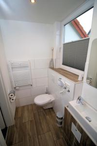 韦斯特兰邦姆霍夫叙尔特岛旅馆的一间带卫生间、水槽和窗户的浴室
