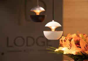 新鲁汶B-Lodge Boutique Hôtel的花瓶上悬挂着一束灯