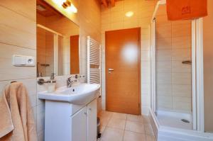 切尔韦纳沃达奥维卡娜膳食公寓的一间带水槽和淋浴的浴室