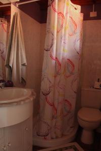 蓬塔戈尔达Casa Fagundo的一间带卫生间和淋浴帘的浴室