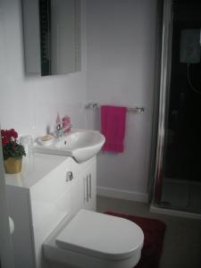 FlodigarrySonas, Dunans的浴室配有白色卫生间和盥洗盆。