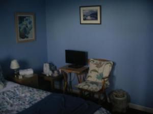 FlodigarrySonas, Dunans的一间卧室配有一张床、一把椅子和电视