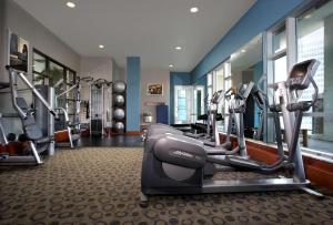 卡尔加里卡尔加里凯悦酒店的一间健身房,里面配有几台跑步机