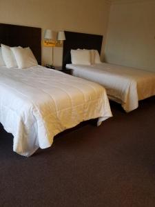 法兰西克里科宾馆客房内的一张或多张床位