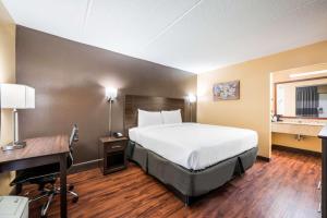 哥伦布Econo Lodge的酒店客房配有一张床、一张书桌和一台电脑