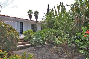 埃尔帕索Casitas Vista Valle Alto的前面有树木和植物的白色房子