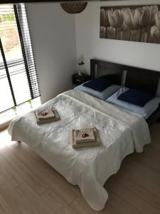 比得哥什Apartament Alihouse的相册照片