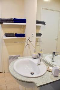 卡尔卡松Appart Chrystal的浴室设有白色水槽和镜子
