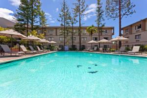 联合市联合市硅谷北皇冠假日酒店的游泳池,酒店配有椅子和遮阳伞