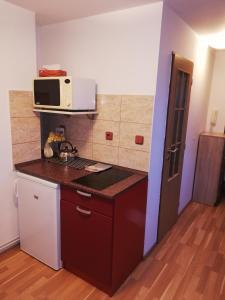 特热什季拉桑纳旅馆的带微波炉和炉灶的小厨房