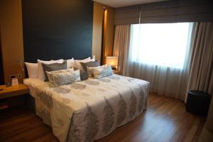 安卡拉CPAnkara Hotel的一间卧室设有一张大床和窗户