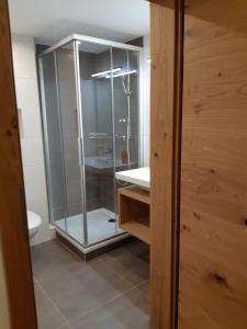 基茨比厄尔附近赖特Pension Thainerhof的一间带卫生间的浴室内的玻璃淋浴间