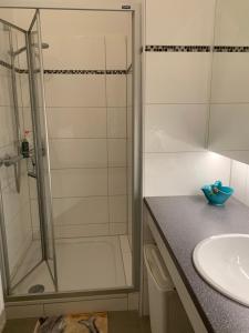 巴特弗斯劳Villa Pazelt Top2的带淋浴和盥洗盆的浴室