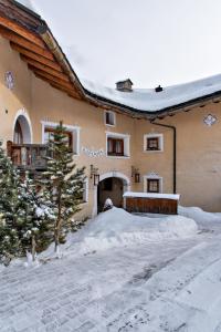 席尔瓦普拉纳Chesa Romana - Silvaplana的雪中的房子,有圣诞树