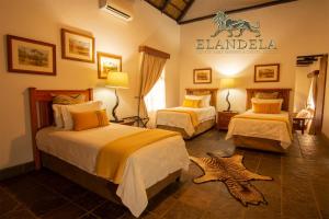 侯斯普瑞特伊兰德拉私人禁猎区和豪华山林小屋的酒店客房,设有两张床,地板上还有海星